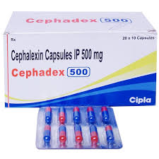 CEPHAXIN 500 (500mg Cephalexin)